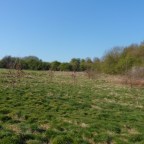 Oxcroft Screens Development Meeting