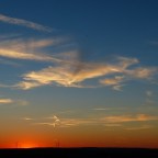 Gone Batty! 🦇🦇