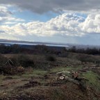 Our Changing Landscape